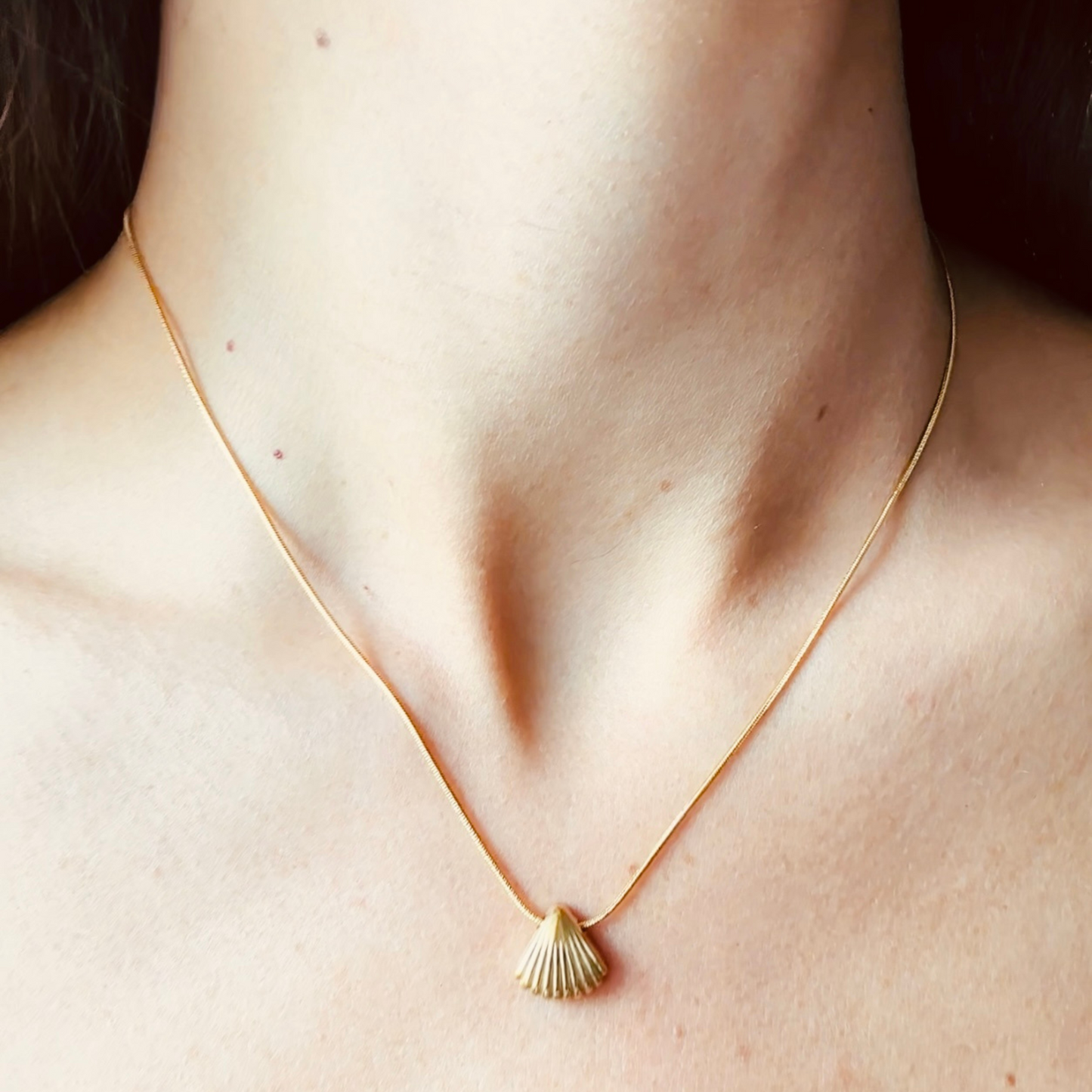 Maritim Neptun Halskette