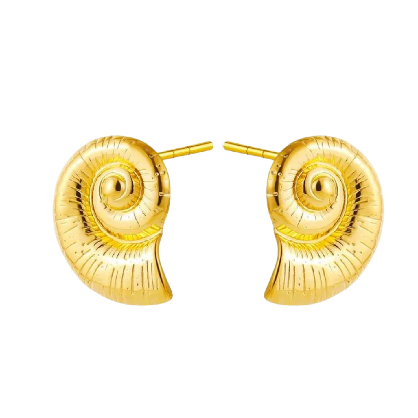 Maritim Fossil Ohrring